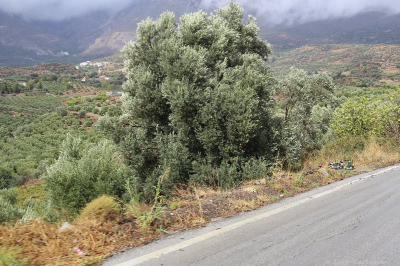 The road from Agio Deka to the Skinaka observatory, Crete