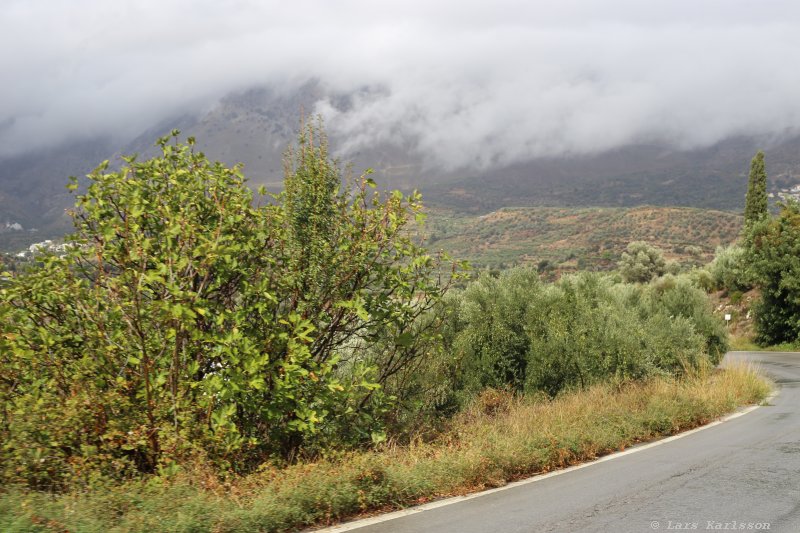 The road from Agio Deka to the Skinaka observatory, Crete