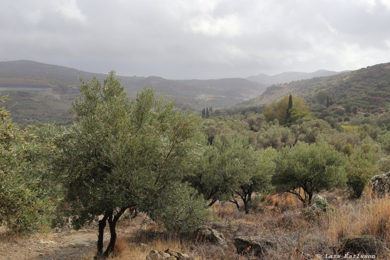 The road down from the turning point to the valley and road 97, Crete