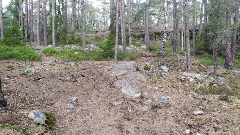 Älvsjöskogen med en fornlämning och ett fort, 2025