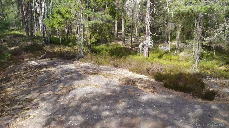 Älvsjöskogen med en fornlämning och ett fort, 2025