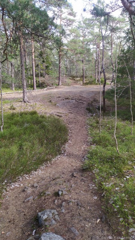Älvsjöskogen med en fornlämning och ett fort, 2025