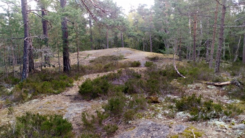 Älvsjöskogen med en fornlämning och ett fort, 2025