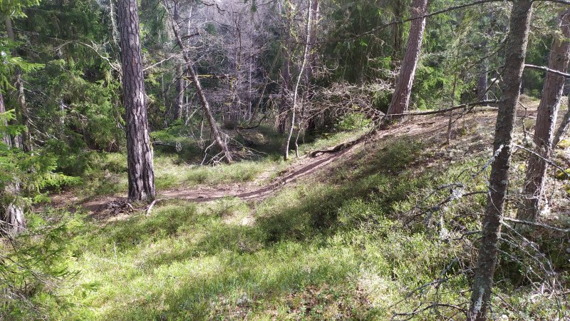 Älvsjöskogen med en fornlämning och ett fort, 2025