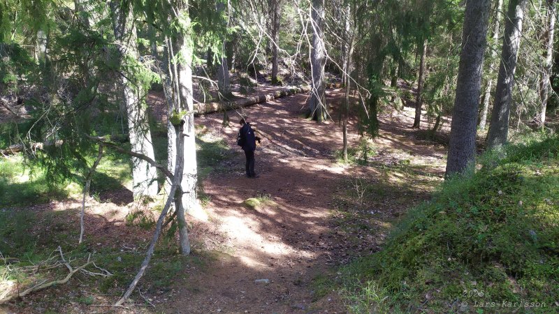 Älvsjöskogen med en fornlämning och ett fort, 2025