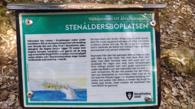 Älvsjöskogen med en fornlämning och ett fort, 2025