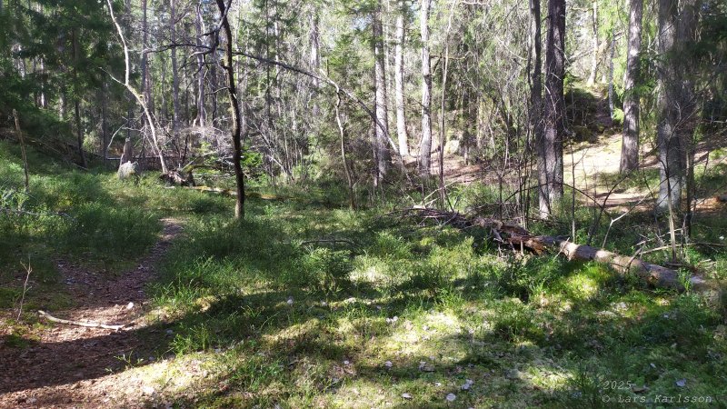 Älvsjöskogen med en fornlämning och ett fort, 2025