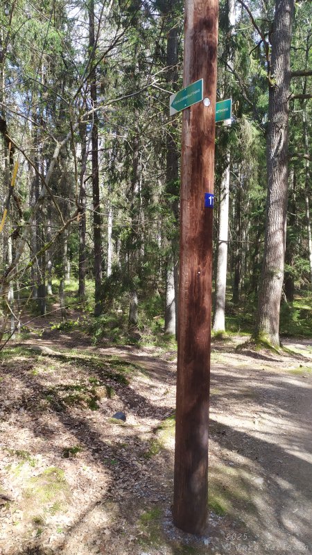 Älvsjöskogen med en fornlämning och ett fort, 2025