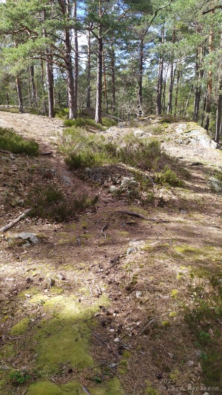 Älvsjöskogen med en fornlämning och ett fort, 2025