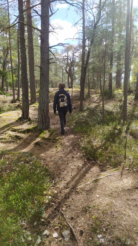Älvsjöskogen med en fornlämning och ett fort, 2025