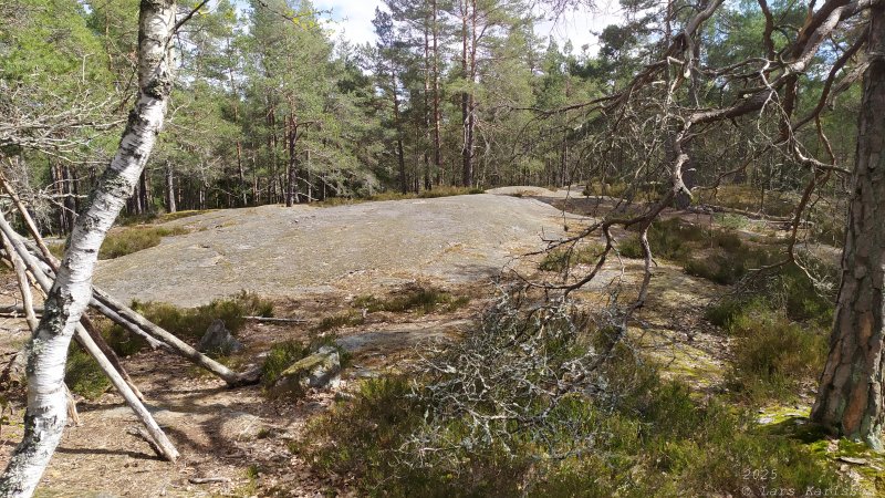 Älvsjöskogen med en fornlämning och ett fort, 2025