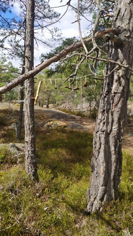 Älvsjöskogen med en fornlämning och ett fort, 2025