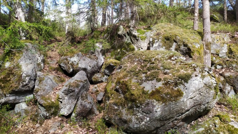 Älvsjöskogen med en fornlämning och ett fort, 2025