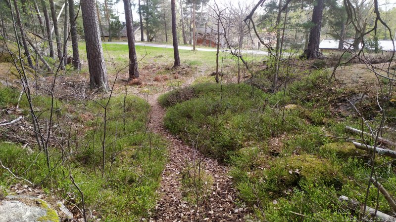 Älvsjöskogen med en fornlämning och ett fort, 2025