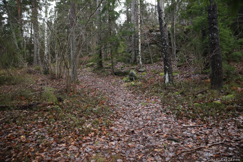 Måndalsfortet, Befästningslinjen Södra Fronten, 2020