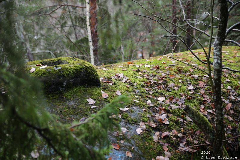 Måndalsfortet, Befästningslinjen Södra Fronten, 2020