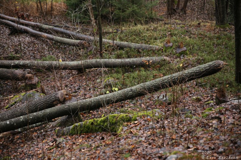 Måndalsfortet, Befästningslinjen Södra Fronten, 2020