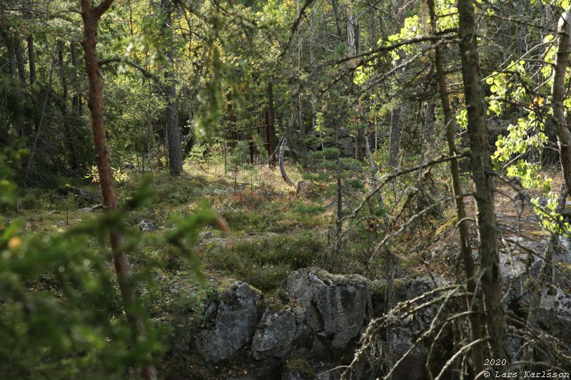 Myttingelinjen på Värmdö i Stockholm, 2020