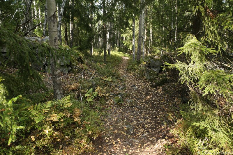 Myttingelinjen på Värmdö i Stockholm, 2020