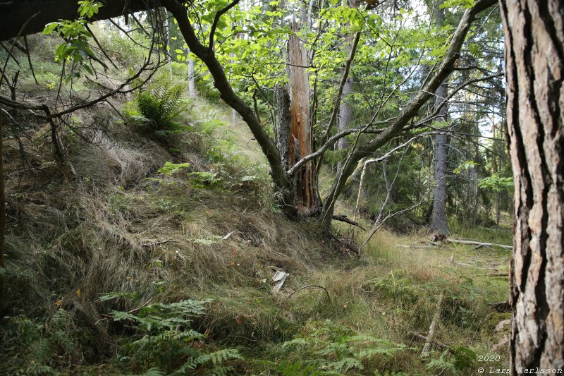 Myttingelinjen på Värmdö i Stockholm, 2020