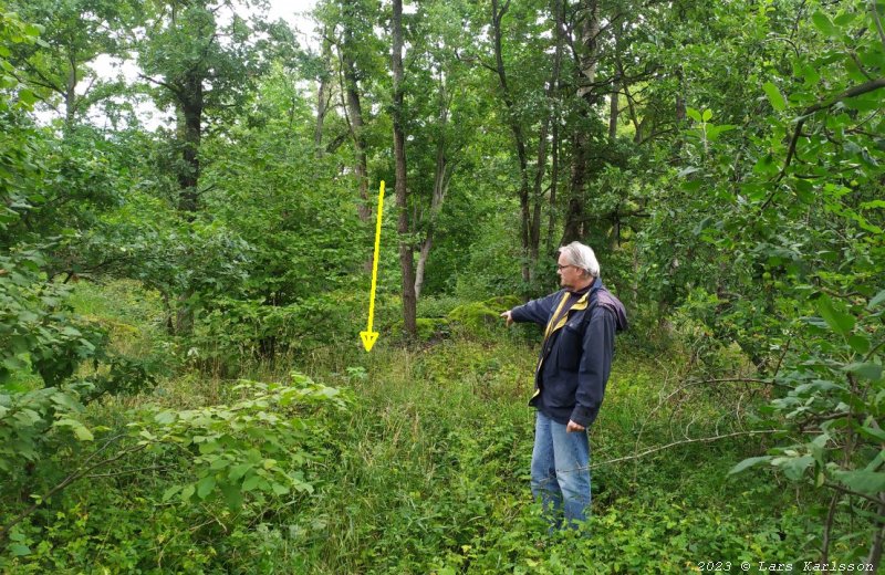 Skålgropssten vid Lerkrogen i Älvsjö