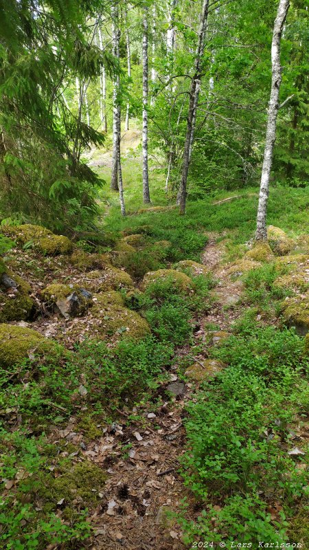 Kagghamra fornborgar, södra Stockholm 2024