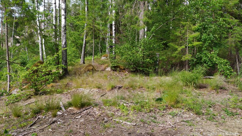 Kagghamra fornborgar, södra Stockholm 2024