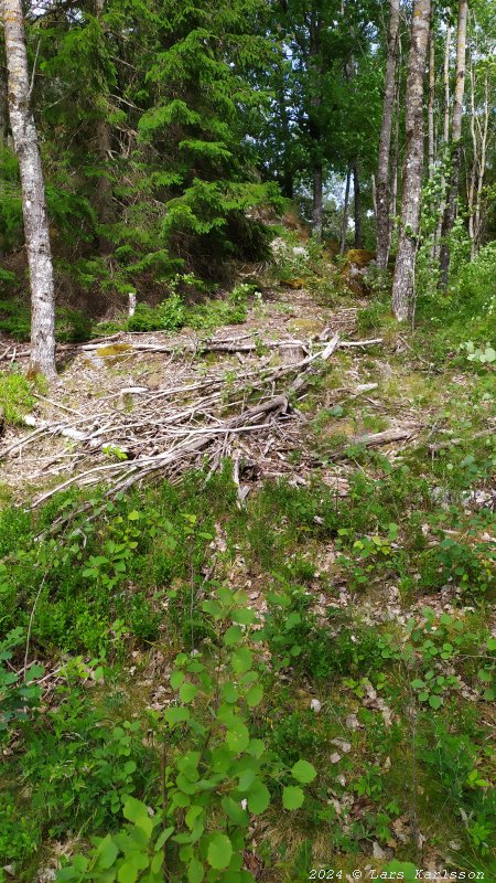 Kagghamra fornborgar, södra Stockholm 2024