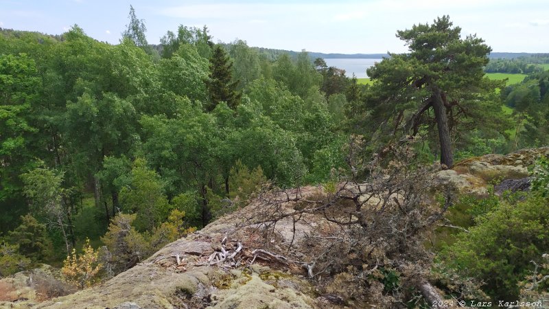 Kagghamra fornborgar, södra Stockholm 2024