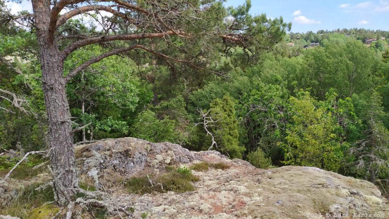 Kagghamra fornborgar, södra Stockholm 2024
