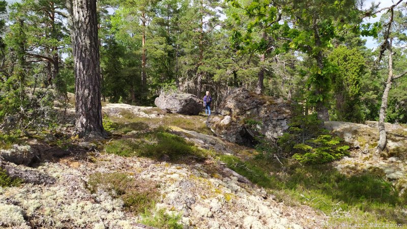 Kagghamra fornborgar, södra Stockholm 2024