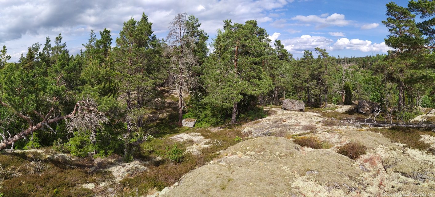 Kagghamra fornborgar, södra Stockholm 2024