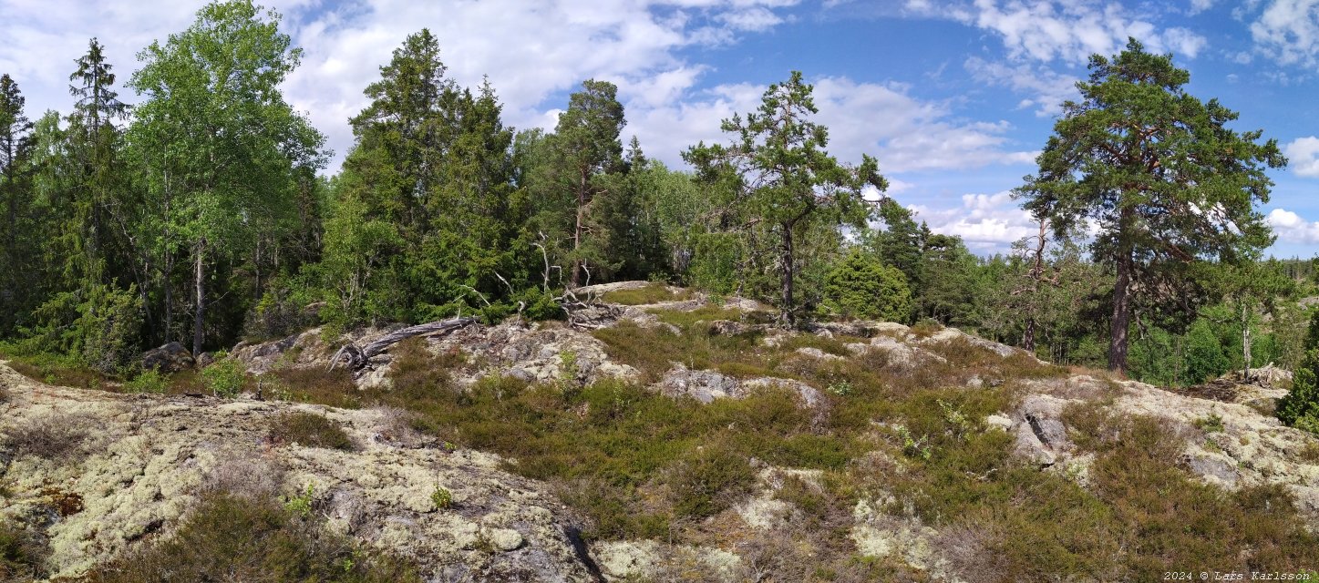 Kagghamra fornborgar, södra Stockholm 2024