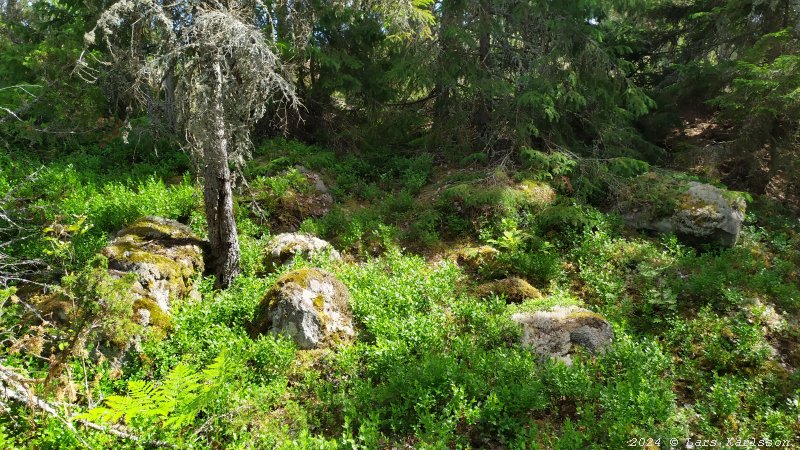 Kagghamra fornborgar, södra Stockholm 2024