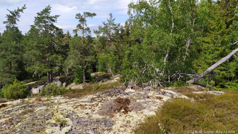 Kagghamra fornborgar, södra Stockholm 2024