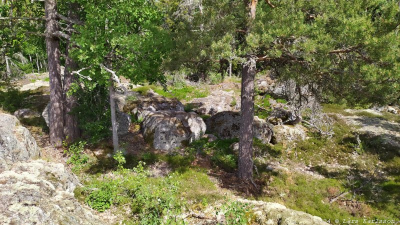 Kagghamra fornborgar, södra Stockholm 2024