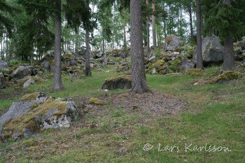 Strängnäs Rällinge fornborg