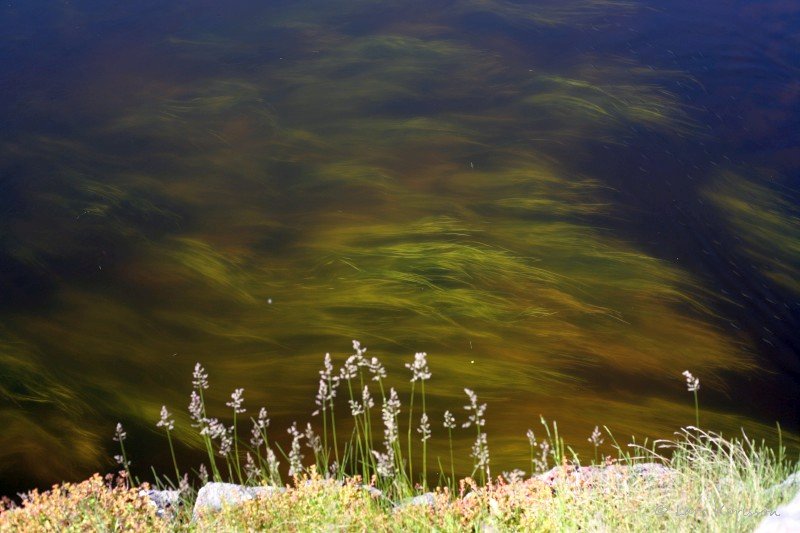 Östergötland Mjölbo Öjebron