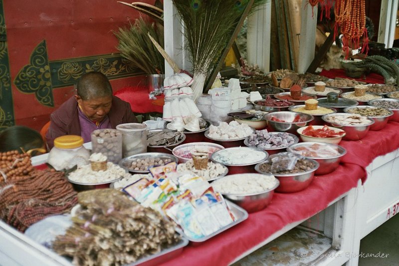 Gunilla's trek in Tibet