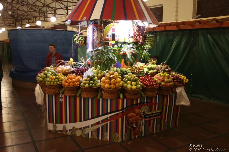 One week at Madeira in Funchal, 2019