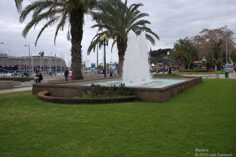 One week at Madeira in Funchal, 2019