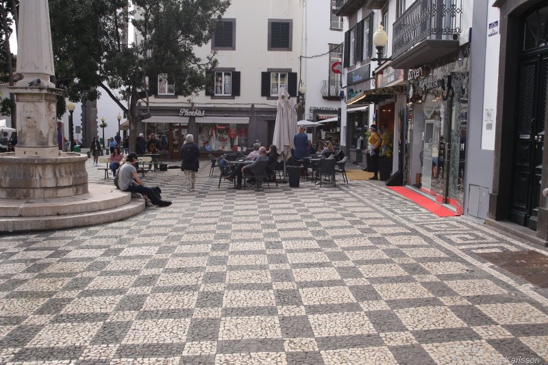 One week at Madeira in Funchal, 2019