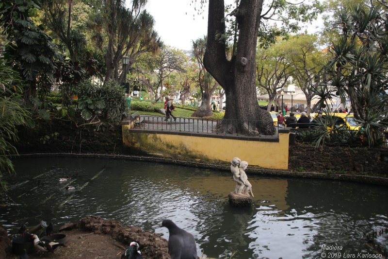 One week at Madeira in Funchal, 2019