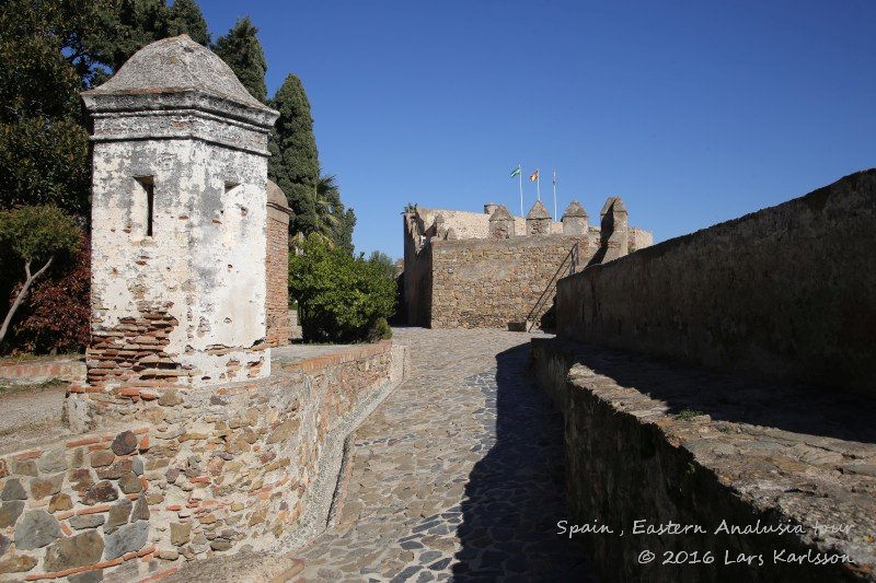 Malaga