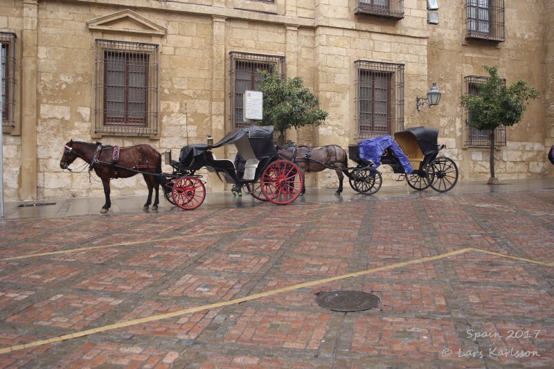 Spain: Roundtrip in Andalusia, Cordoba