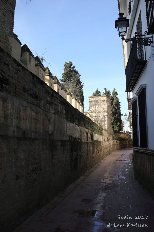 Spain: Roundtrip in Andalusia, Seville