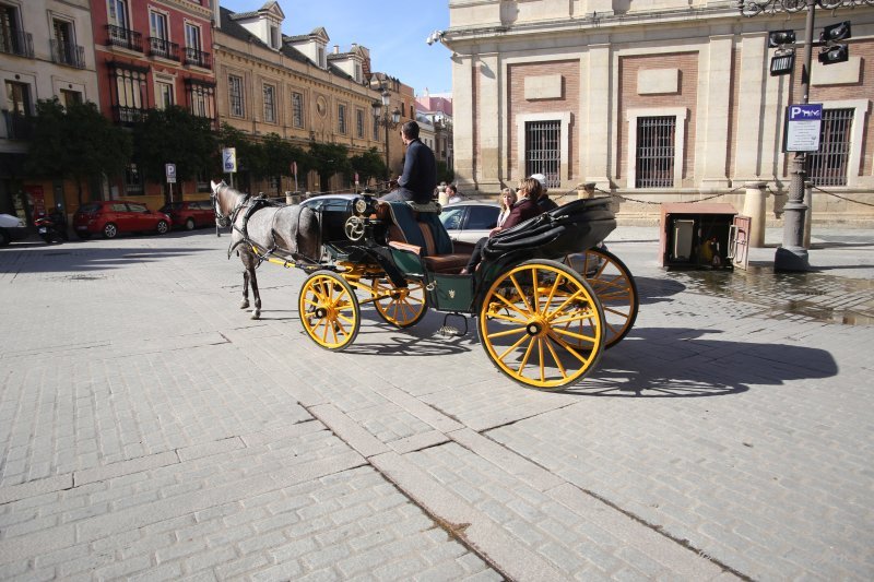 Spain: Roundtrip in Andalusia, Seville