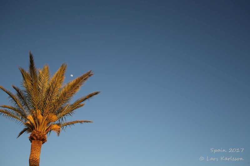 Spain: Roundtrip in Andalusia, Cadiz