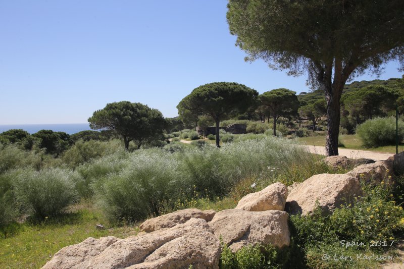Spain: Andalusia, Cadiz to Algeciras along the Atlantic coast