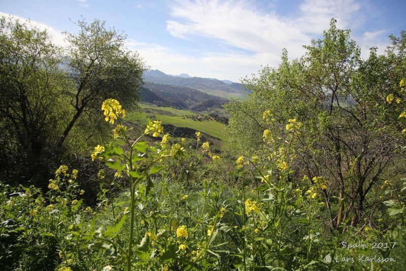 Spain: Andalusia, Ronda